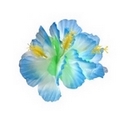 Barrette fleur bleue Hawaï