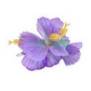 Barrette fleur violette Hawaï