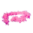 Boa rose