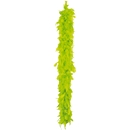 Boa vert