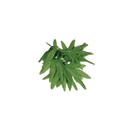 Bracelet de cheville feuilles tropicales