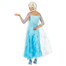 Déguisement Elsa Frozen adulte