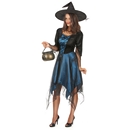 Déguisement sorcière bleue nuit femme Halloween