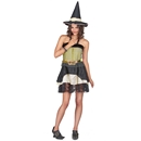 Déguisement sorcière femme Halloween or