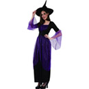 Déguisement sorcière violette femme