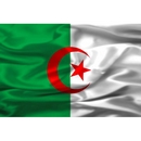 Drapeau supporter Algérie
