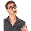 Lunette nez et moustache