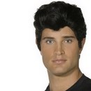 Perruque Grease™ homme