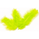 20 plumes de décoration vertes anis