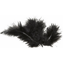 20 plumes de décoration noires