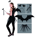 Set chauve-souris adulte