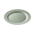 12 assiettes en plastique rigide ronde argent PRESTIGE 19 cm