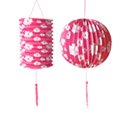 2 Lanternes roses avec fleurs blanches Hawaï