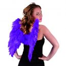 Ailes violettes adultes