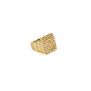 Bague dollars strass adulte