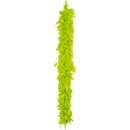 Boa vert