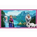 Décoration murale La reine des neiges™