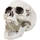 Décoration squelette 24 x 18 cm Halloween