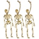 Décorations squelettes pendus Halloween