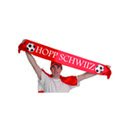 Echarpe supporter suisse