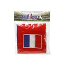 Echarpe supporter France