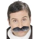 Moustache grisonnante adulte