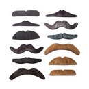 Lot 12 moustaches