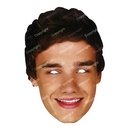Masque carton Liam Payne One Direction