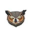 Masque papier hibou