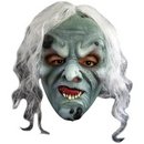 Masque sorcière verte avec cheveux adulte Halloween