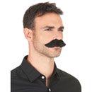 Moustache noire adulte