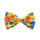 Noeud papillon à pois clown adulte