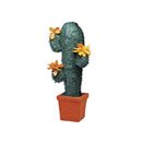 Piñata Cactus