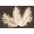 20 plumes de décoration ivoire