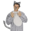 Queue de loup adulte